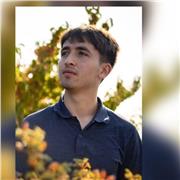 Mathe Tutor (Kinder bis zu Hochschulabschluss)